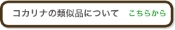 コカリナの類似品について